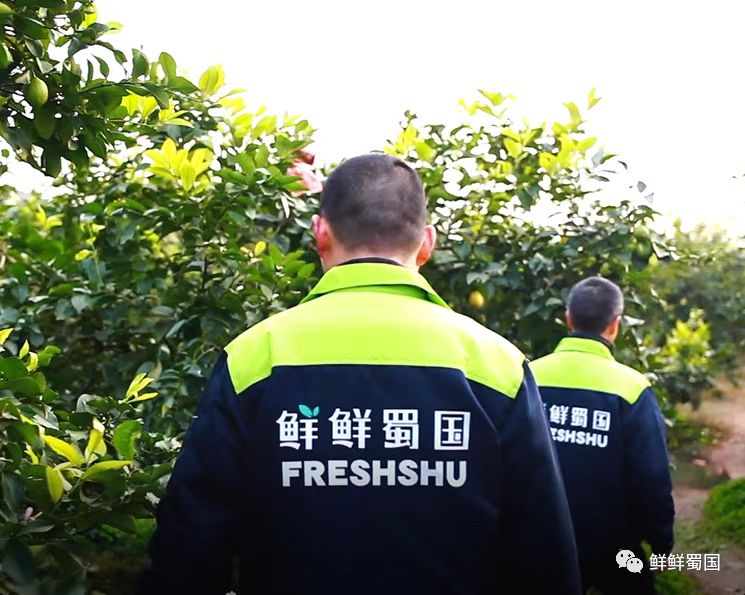 全面的体系认证